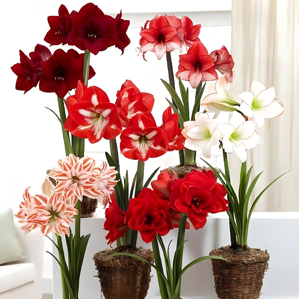 化工工装是怎样定制的，小编为你回答